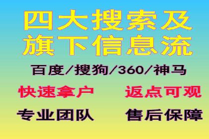 SEO策略在电商平台的成功应用案例